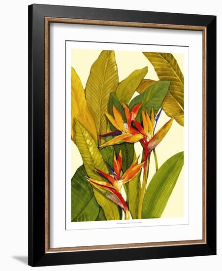 Tropical Bird of Paradise-Tim O'toole-Framed Art Print