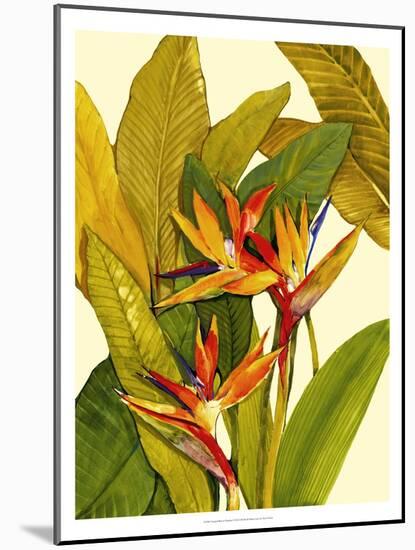 Tropical Bird of Paradise-Tim O'toole-Mounted Art Print