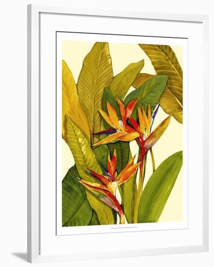 Tropical Bird of Paradise-Tim O'toole-Framed Art Print