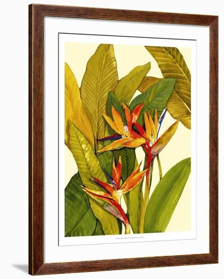 Tropical Bird of Paradise-Tim O'toole-Framed Art Print