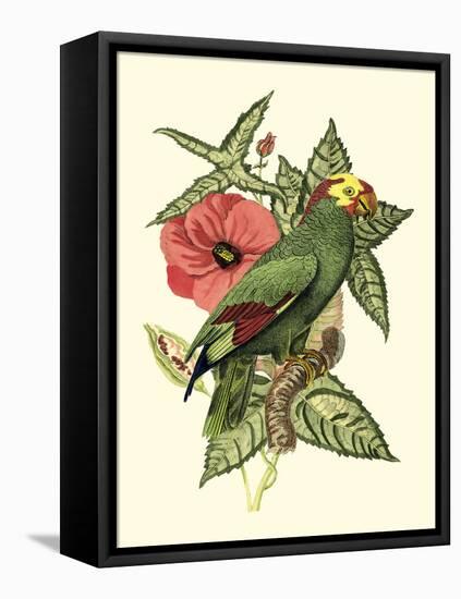 Tropical Birds and Botanicals I-null-Framed Stretched Canvas