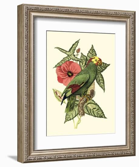 Tropical Birds and Botanicals I-null-Framed Art Print