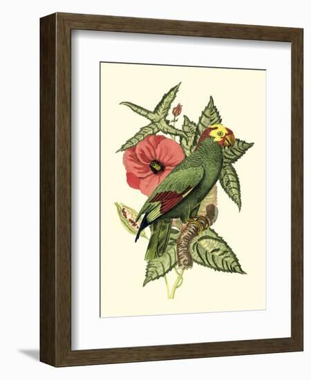 Tropical Birds and Botanicals I-null-Framed Art Print