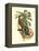 Tropical Birds and Botanicals II-null-Framed Stretched Canvas