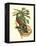 Tropical Birds and Botanicals II-null-Framed Stretched Canvas