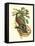 Tropical Birds and Botanicals II-null-Framed Stretched Canvas