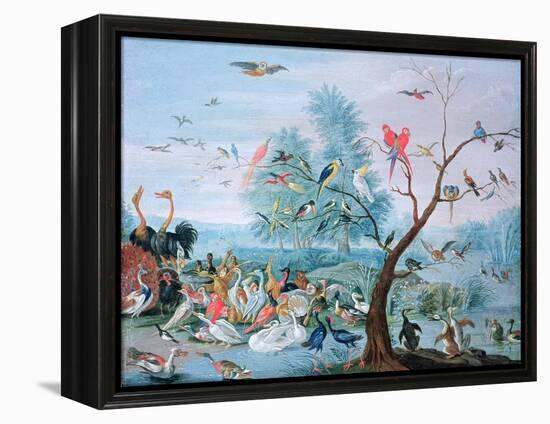 Tropical Birds in a Landscape-Jan van Kessel-Framed Premier Image Canvas