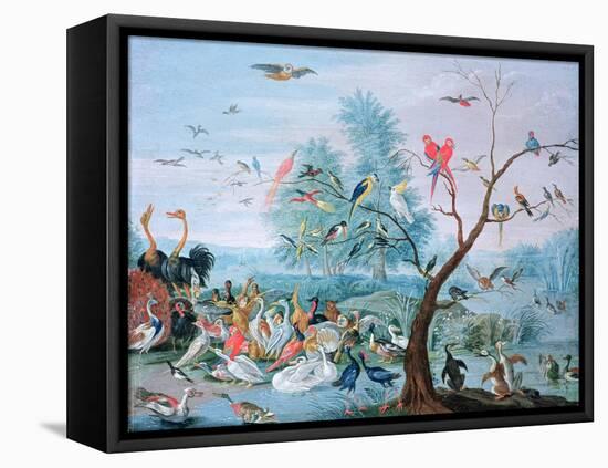 Tropical Birds in a Landscape-Jan van Kessel-Framed Premier Image Canvas