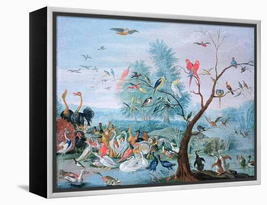 Tropical Birds in a Landscape-Jan van Kessel-Framed Premier Image Canvas