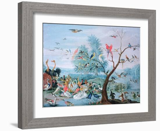 Tropical Birds in a Landscape-Jan van Kessel-Framed Giclee Print