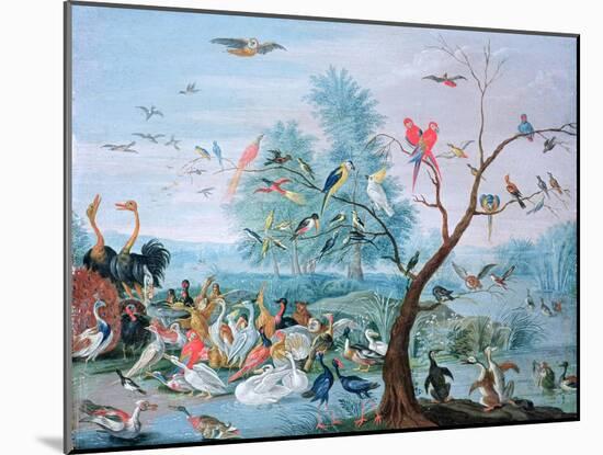 Tropical Birds in a Landscape-Jan van Kessel-Mounted Giclee Print