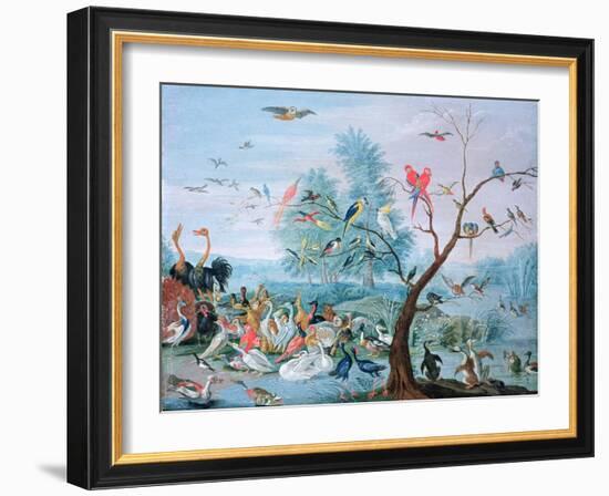 Tropical Birds in a Landscape-Jan van Kessel-Framed Giclee Print