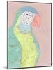 Tropical Birds - Parrot-null-Mounted Giclee Print