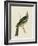 Tropical Birds - Yellow Shoulder-Maria Mendez-Framed Giclee Print