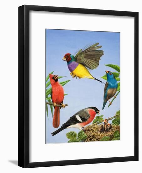 Tropical Birds-R. B. Davis-Framed Giclee Print