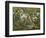 Tropical Birds-English School-Framed Giclee Print