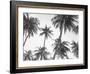 Tropical Black and White-Sisi and Seb-Framed Art Print