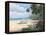 Tropical Bliss-unknown Chiu-Framed Stretched Canvas