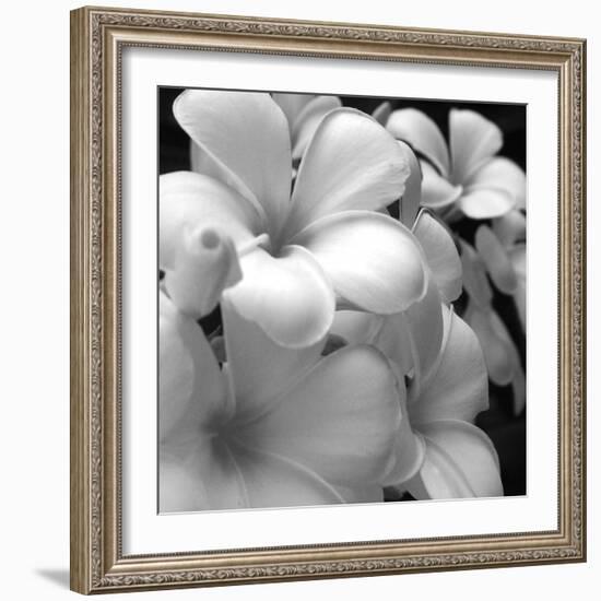 Tropical Bloom I-Tony Koukos-Framed Giclee Print