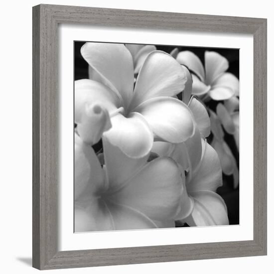 Tropical Bloom I-Tony Koukos-Framed Giclee Print