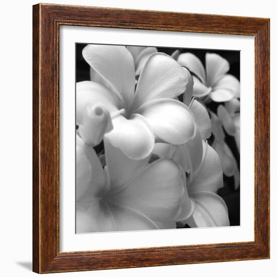 Tropical Bloom I-Tony Koukos-Framed Giclee Print