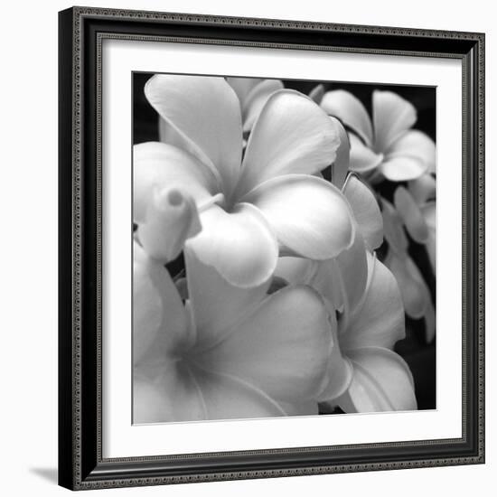Tropical Bloom I-Tony Koukos-Framed Giclee Print