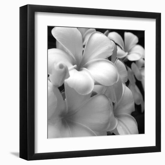 Tropical Bloom I-Tony Koukos-Framed Giclee Print