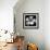 Tropical Bloom II-Tony Koukos-Framed Giclee Print displayed on a wall