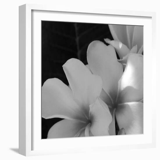 Tropical Bloom III-Tony Koukos-Framed Giclee Print