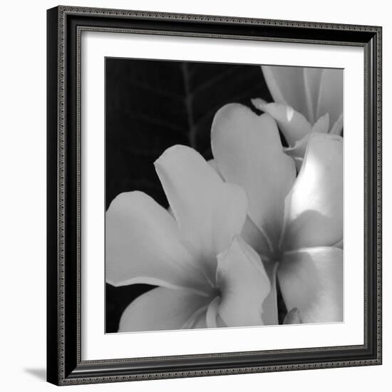 Tropical Bloom III-Tony Koukos-Framed Giclee Print