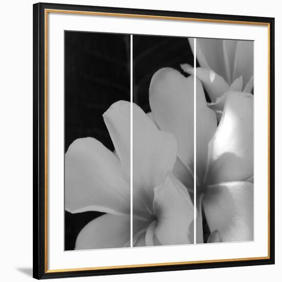 Tropical Bloom Iii-Tony Koukos-Framed Giclee Print