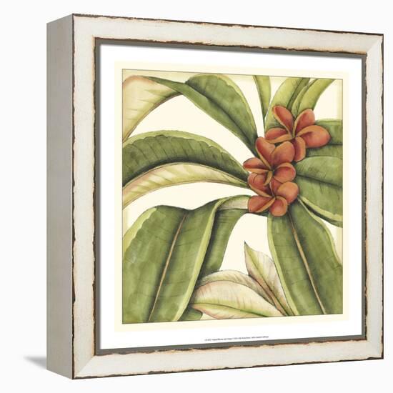 Tropical Blooms and Foliage I-Jennifer Goldberger-Framed Stretched Canvas