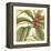 Tropical Blooms and Foliage I-Jennifer Goldberger-Framed Stretched Canvas