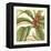 Tropical Blooms and Foliage I-Jennifer Goldberger-Framed Stretched Canvas