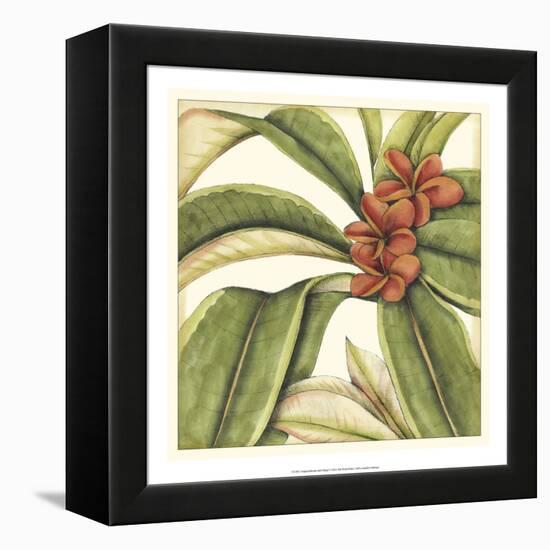 Tropical Blooms and Foliage I-Jennifer Goldberger-Framed Stretched Canvas