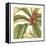 Tropical Blooms and Foliage I-Jennifer Goldberger-Framed Stretched Canvas