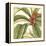 Tropical Blooms and Foliage I-Jennifer Goldberger-Framed Stretched Canvas