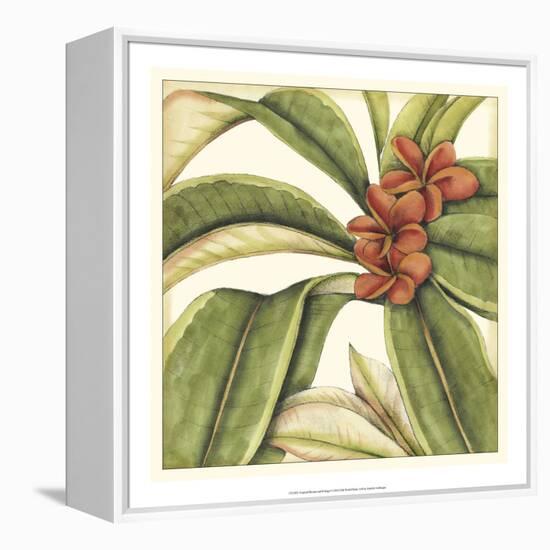 Tropical Blooms and Foliage I-Jennifer Goldberger-Framed Stretched Canvas