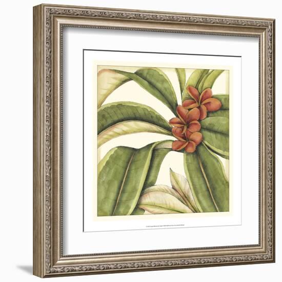 Tropical Blooms and Foliage I-Jennifer Goldberger-Framed Art Print