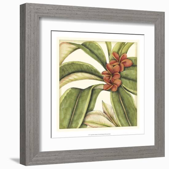 Tropical Blooms and Foliage I-Jennifer Goldberger-Framed Art Print