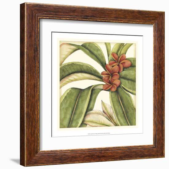 Tropical Blooms and Foliage I-Jennifer Goldberger-Framed Art Print