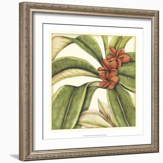 Tropical Blooms and Foliage I-Jennifer Goldberger-Framed Art Print