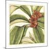 Tropical Blooms and Foliage I-Jennifer Goldberger-Mounted Premium Giclee Print