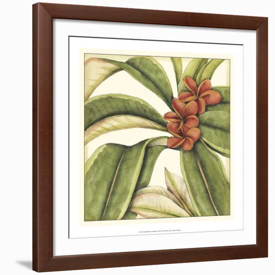 Tropical Blooms and Foliage I-Jennifer Goldberger-Framed Giclee Print