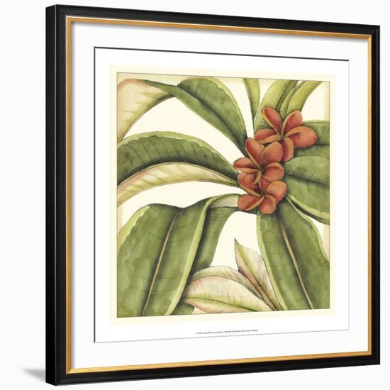 Tropical Blooms and Foliage I-Jennifer Goldberger-Framed Giclee Print