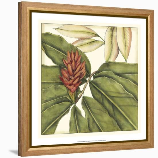 Tropical Blooms and Foliage II-Jennifer Goldberger-Framed Stretched Canvas