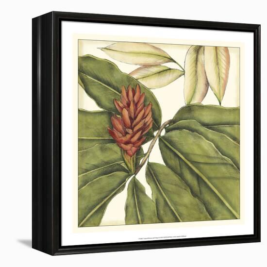 Tropical Blooms and Foliage II-Jennifer Goldberger-Framed Stretched Canvas