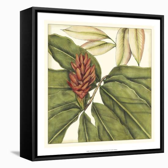 Tropical Blooms and Foliage II-Jennifer Goldberger-Framed Stretched Canvas