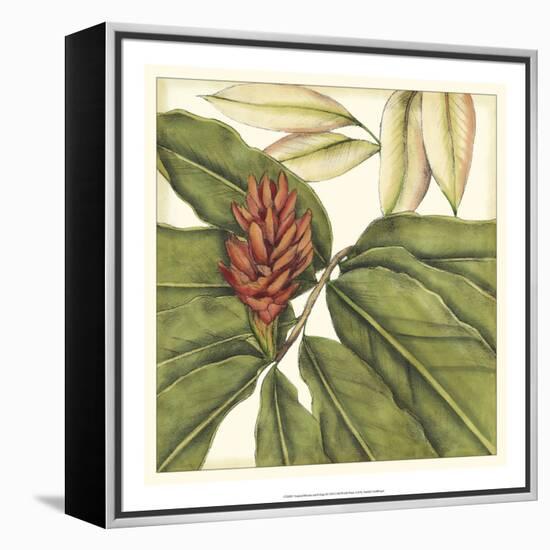 Tropical Blooms and Foliage II-Jennifer Goldberger-Framed Stretched Canvas