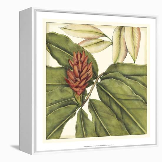 Tropical Blooms and Foliage II-Jennifer Goldberger-Framed Stretched Canvas